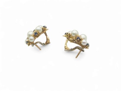 TRAVAIL Français
PAIRE de boucles d'oreilles...