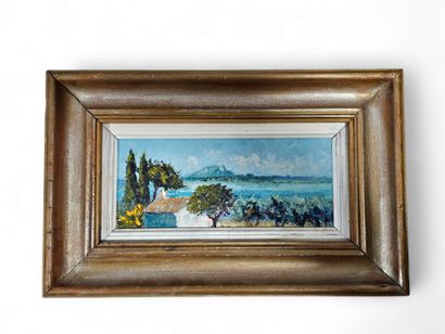 Reynier Vincent Xxeme siecle
Plaine de la...