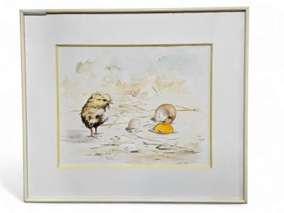 C Quintin Xxeme
Le poussin et l'œuf
Aquarelle...