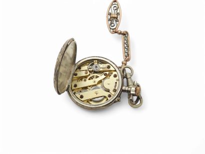 TRAVAIL Français XXEME SIECLE 
Montre de...