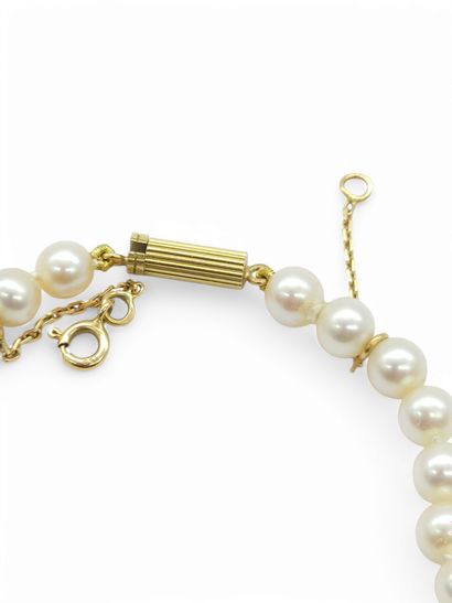 TRAVAIL Français XXème siècle
Collier de...