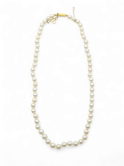 TRAVAIL Français XXème siècle
Collier de...