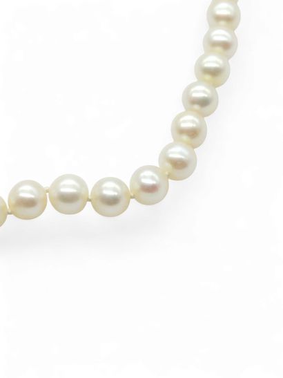 TRAVAIL Français XXème siècle
Collier de...