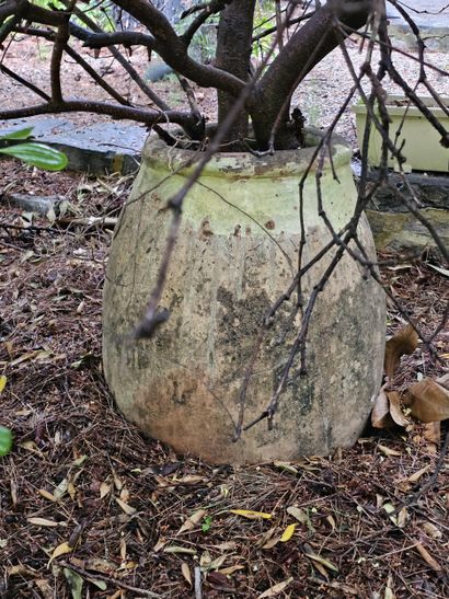 In the garden 
Set of damaged terracotta...