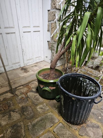In the garden 
Set of damaged terracotta...