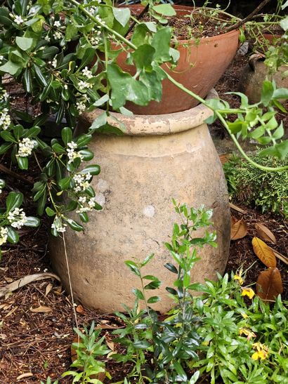 In the garden 
Set of damaged terracotta...