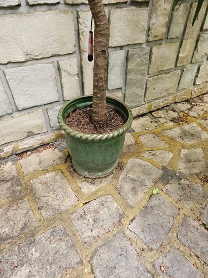 In the garden 
Set of damaged terracotta...