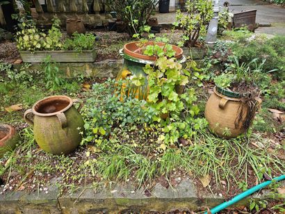 In the garden 
Set of damaged terracotta...