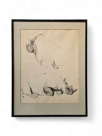 TRAVAIL XX ème siècle 
Etudes d'animaux 
Trois...