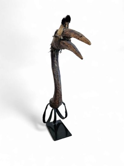 NIGERIA 
FRONTAL DE CHASSEUR Servait d'appeau,...