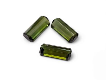 TOURMALINE green Nbr 3 , émeraude , Mozambique...