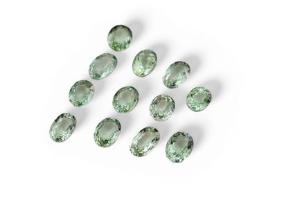 TOURMALINE green Nbr 12 , ovale , Congo ,...