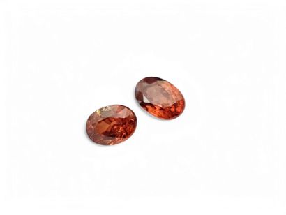 ZIRCON imperial champagne Nbr 2 Tanzanie...
