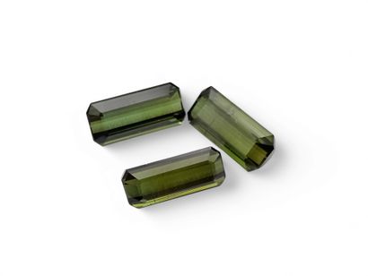 TOURMALINE green Nbr 3 , émeraude , Mozambique...
