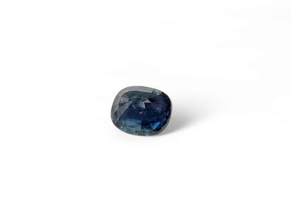 SAPHIR greenish blue Australie coussin
Dim...