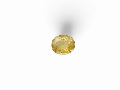 Saphir yellow, oval, madagascar, 1,15 carats...