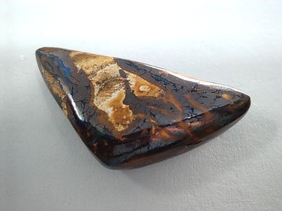 OPALE koriot nut boulder du Queensland 	Australie,...