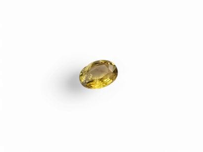 TOURMALINE greenish yellow , ovale , Mozambique...
