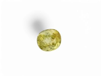 SPHENE yellowish green , coussin , Madagascar...
