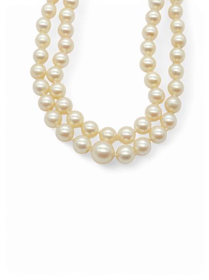 TRAVAIL Français Xxeme siecle
COLLIER double...