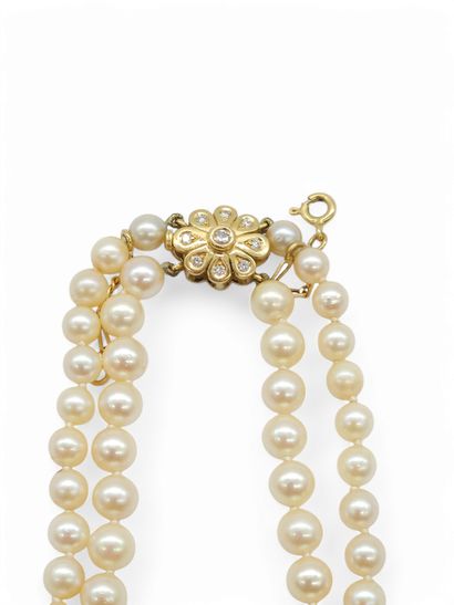 TRAVAIL Français Xxeme siecle
COLLIER double...