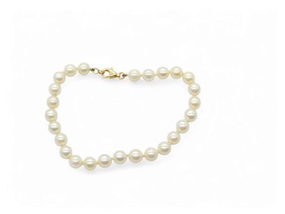 TRAVAIL Français Xxeme siecle
BRACELET de...