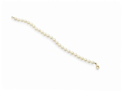 TRAVAIL Français Xxeme siecle
BRACELET de...