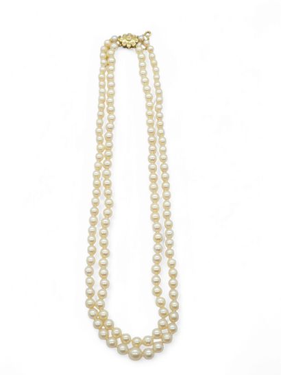 TRAVAIL Français Xxeme siecle
COLLIER double...