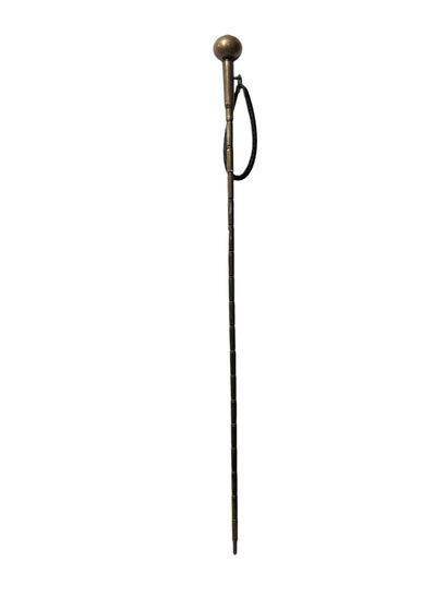 Marine souvenir cane