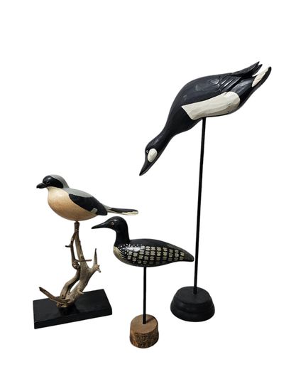 Ensemble de canard en différentes matieres...