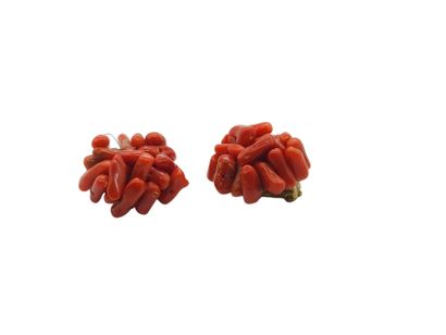 PAIR OF GOLD AND CORAL EARRINGS