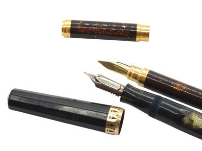 LOT of two pens including :
WAHL-EVERSHAP...