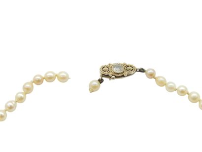 COLLAR of eighty-five cultured pearls, clasp...