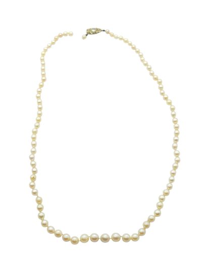 COLLAR of eighty-five cultured pearls, clasp...