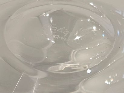 LALIQUE France 
