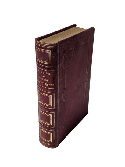 Journey to the Pyrenees
Illustrated by Gustave...