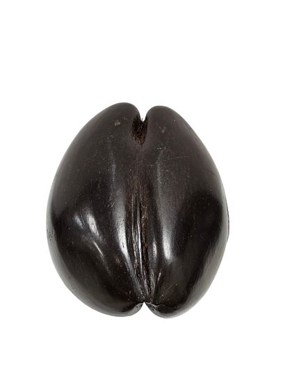 SEYCHELLES
coco fesse transformed into a...