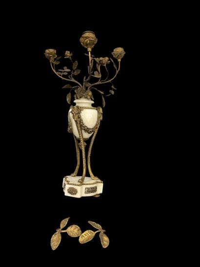 D'ARDOT Horloger du Roy Versailles ?
Garniture...