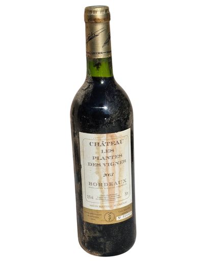 Bordeaux, Château les Plantes des Vignes...