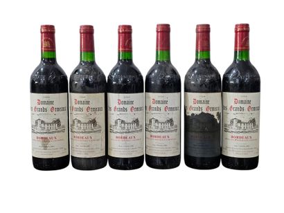 Bordeaux, Domaine des Grands Ormeaux 1994
Six...