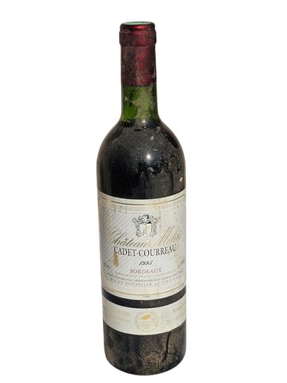 Bordeaux, Chateau Melin Cadet Courreau 1995
A...