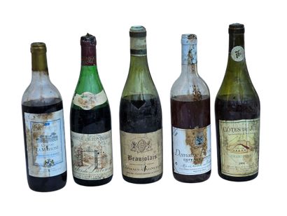 Ensemble de Treize bouteilles de vin blanc...