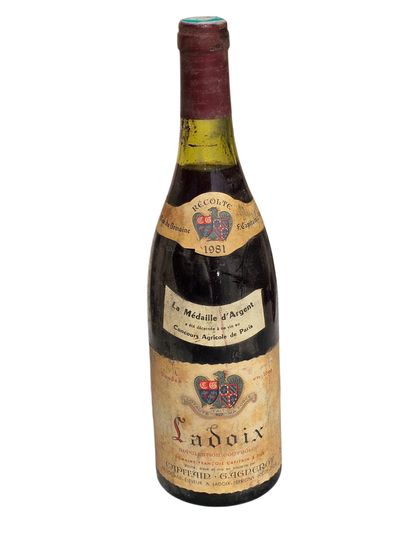 Ladoix 1981
A bottle of red wine 75cl
Good...