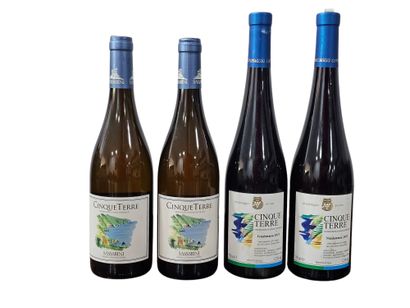 Cinque Terre, Vendemmia 2011
Deux bouteilles...