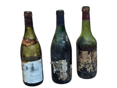 Ensemble de Treize bouteilles de vin blanc...