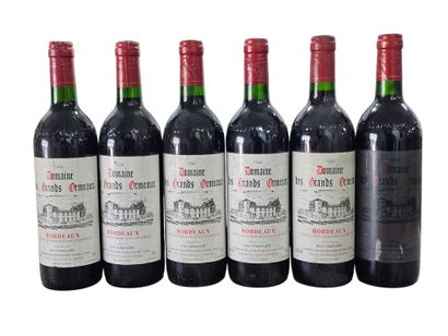 Bordeaux, Domaine des Grands Ormeaux 1996
Six...