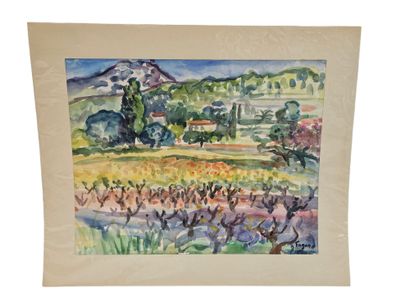FAGARD
Vignoble en provence
Aquarelle sur...