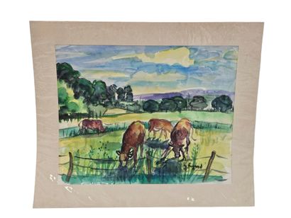 FAGARD
Chevaux au pré
Aquarelle sur papier...