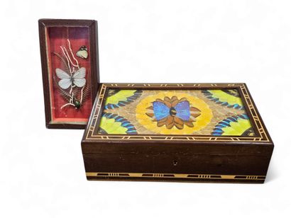 Boite à bijoux en bois à décor en ailes de...