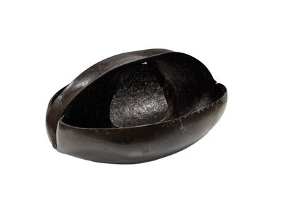 SEYCHELLES
coco fesse transformed into a...